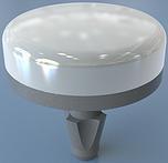 Bioploy implants